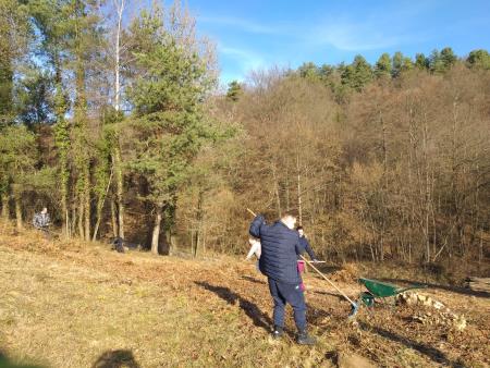 Delovna akcija Soncki 6